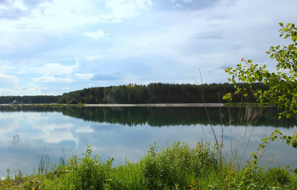 Działka budowlana | Prywatna plaża | Media | Las