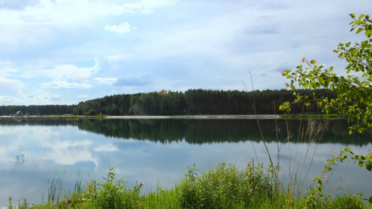 Działka budowlana | Prywatna plaża | Media | Las