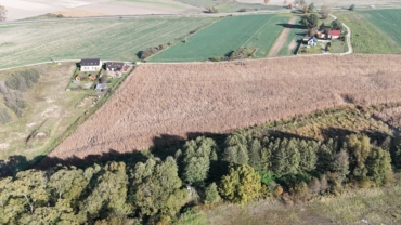 Działki budowlane w Borowej