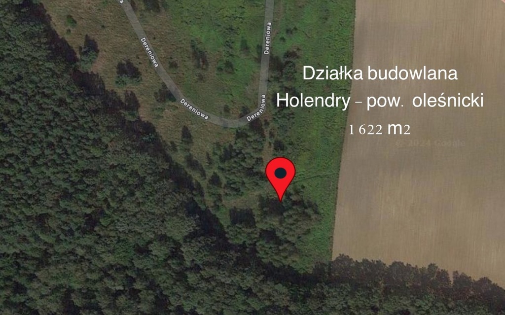 Działka w lesie-budowlana| Holendry-pow. oleśnicki