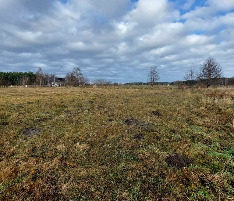 Działka 7 500 m2 Granowiec