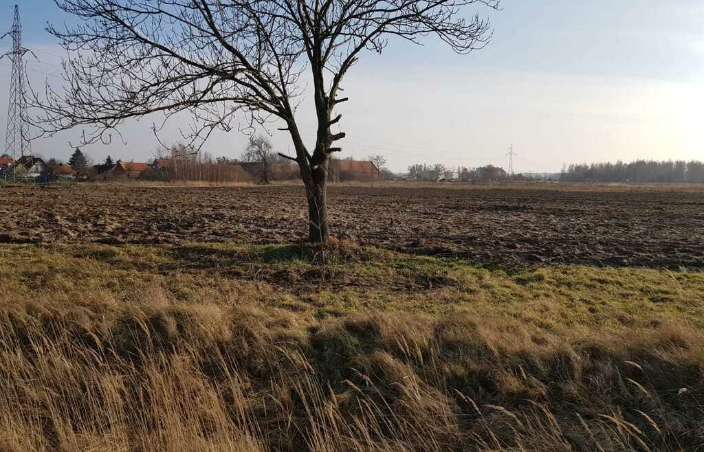 Działka | atrakcyjny teren | spokój | las