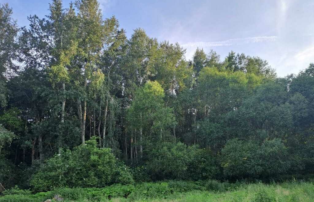 Działka budowlana pod lasem | 313zł/1mkw!