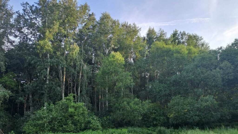 Działka budowlana pod lasem | 313zł/1mkw!