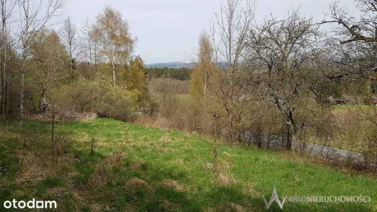 Działka | atrakcyjna | las | piękne widoki