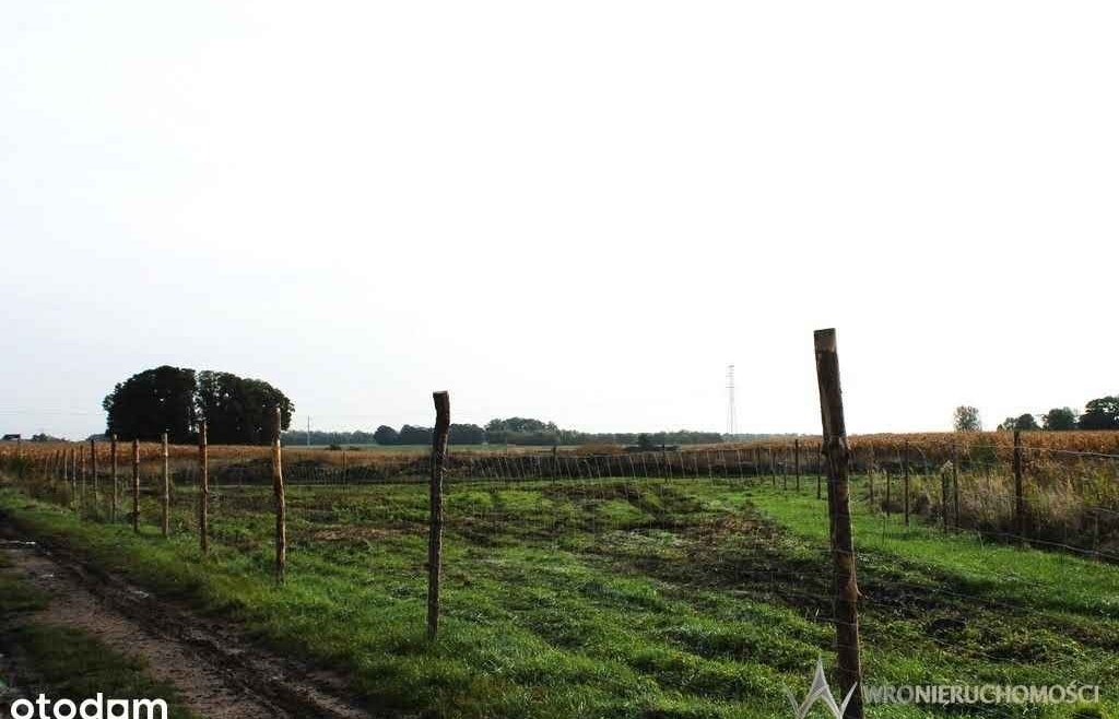 Działka budowlana| Domasław| Nowa Cena