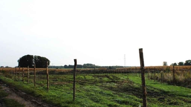 Działka budowlana| Domasław| Nowa Cena