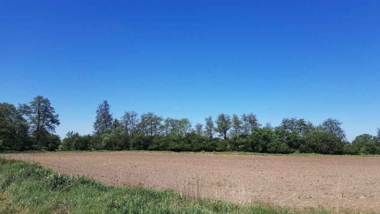 Działka | atrakcyjna | spokojna okolica | las |