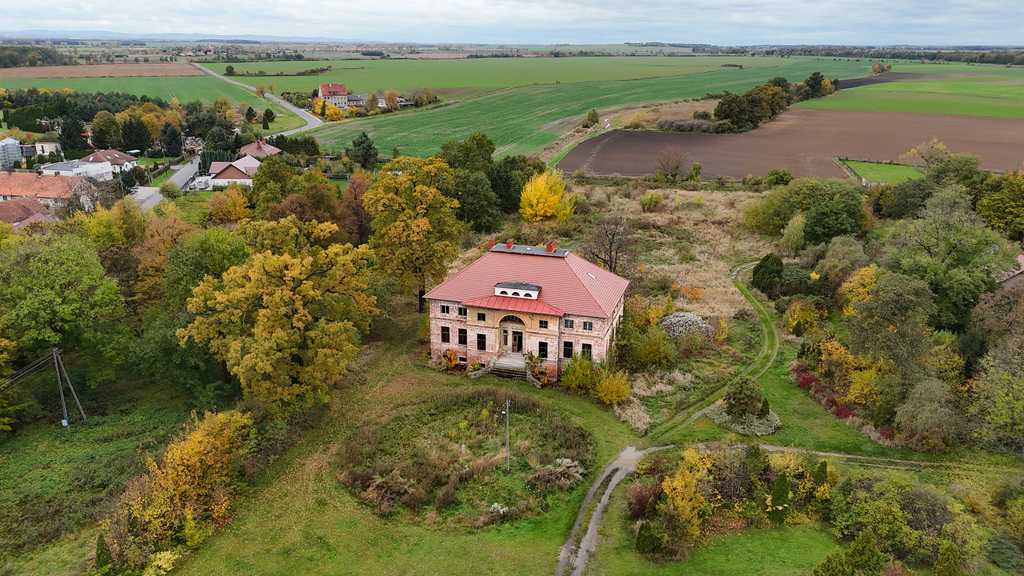 Stylowy pałac z 1840 roku| 40 km od Wrocławia!