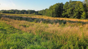 Działki Przemysłowe*atrakcyjne/DK35/* Gniechowice