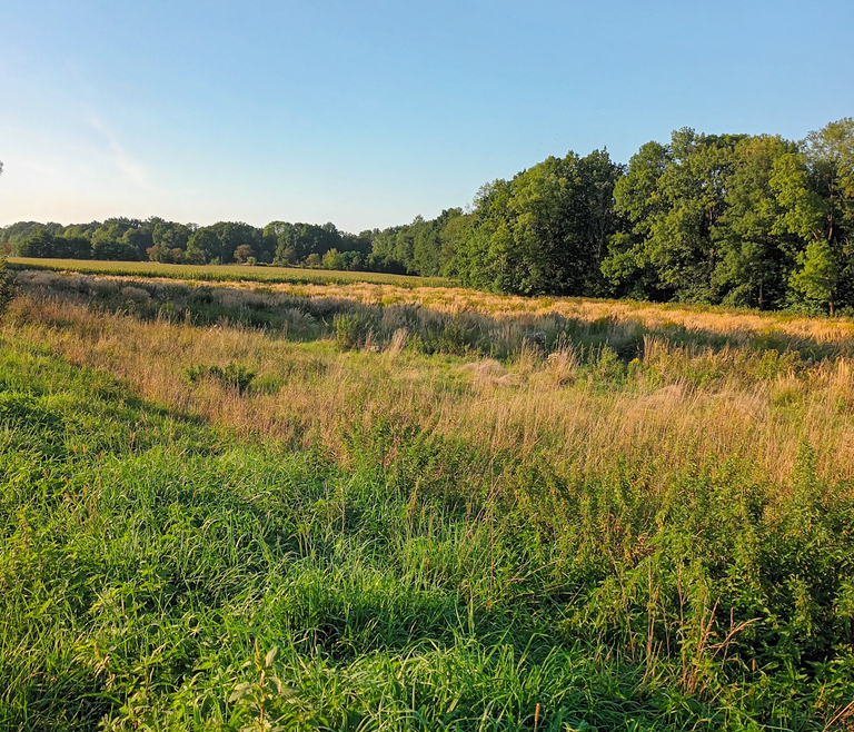 Działki Przemysłowe*atrakcyjne/DK35/* Gniechowice