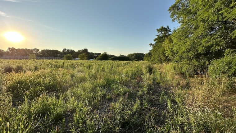 Inwestycja – 1,2 ha pod halę, logistykę, usługi