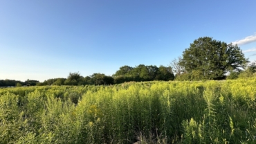 Inwestycja pod halę, logistykę, usługi