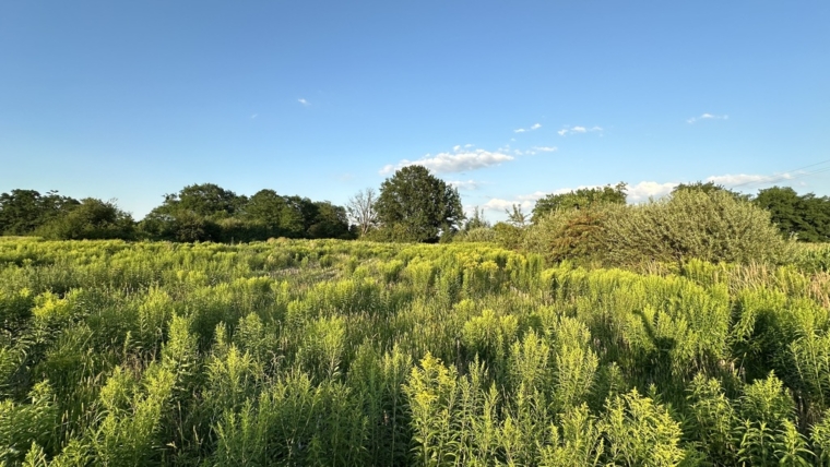 Działki pod halę, logistykę, usługi