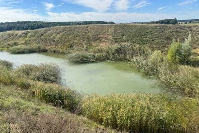Nieczynna kopalnia piasku, okolice Milicza