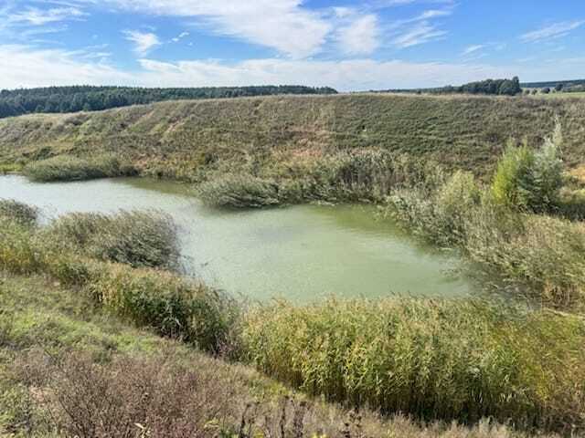 Nieczynna kopalnia piasku, okolice Milicza