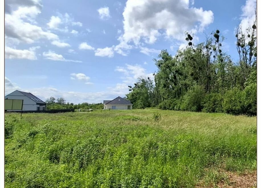 Duża działka budowlana Mieszkaniowa/Usługowa