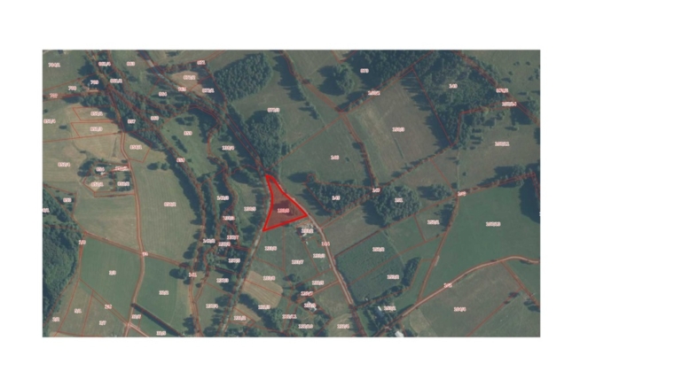 Dworki, gm. Nowa Ruda, działka z WZ, 5000m2