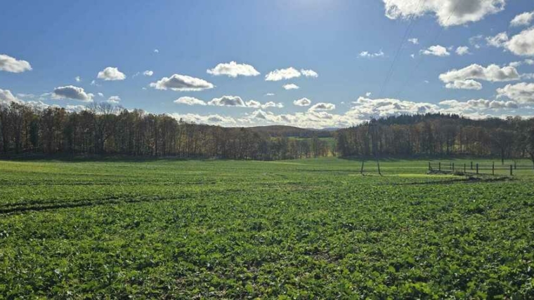 Działki budowlane 916m2 do 2615m2|mpzp|kanalizacja