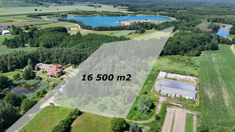 Działka – 1,65 ha – gmina Dobroszyce