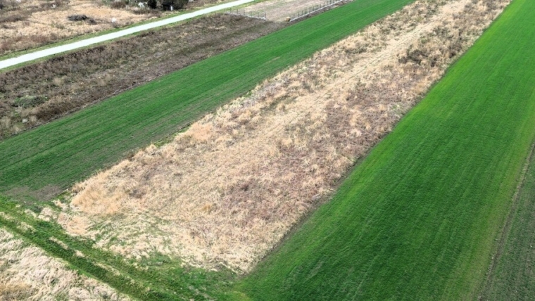 Działka budowlana w Kobierzycach | 1007 m2