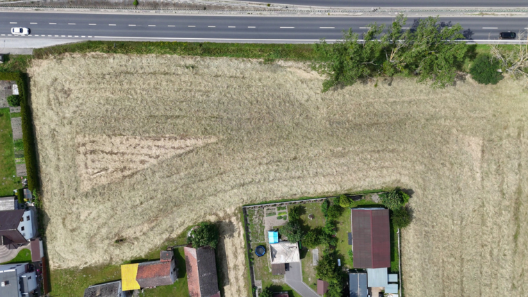 Działka usługowo-mieszkaniowa 4636 m2  Borowa